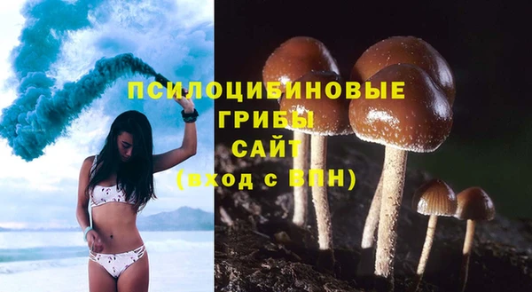 молекула духа Бугульма