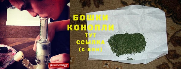 молекула духа Бугульма